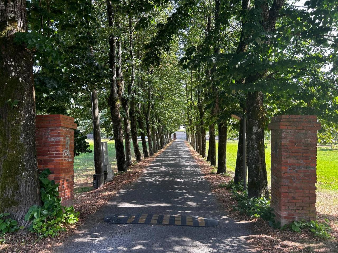 Apartmán Casa Tea Lucca Exteriér fotografie